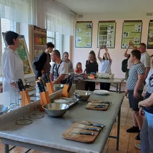 Gallery Image #1